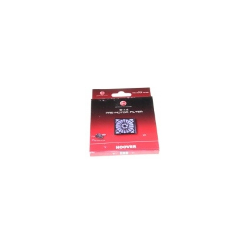 Filtre pour aspirateur HOOVER TELIOS TTE2305011