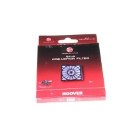 Filtre pour aspirateur HOOVER TELIOS TTE2305011