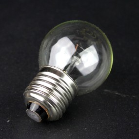 Ampoule de four LFO004 gros culot a vis E27