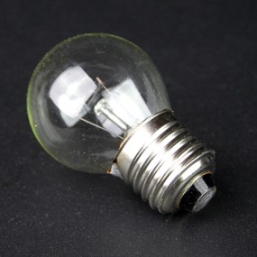 Ampoule de four LFO004 gros culot a vis E27