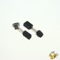 Charbons pour meuleuse RYOBI SG1155