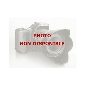 Grille en fonte centrale pour cuisinière GLEM