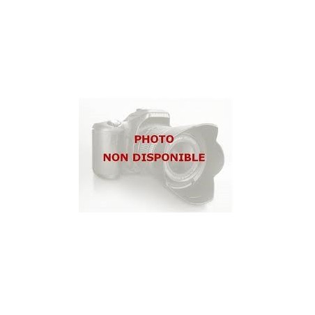 Grille en fonte centrale pour cuisinière GLEM