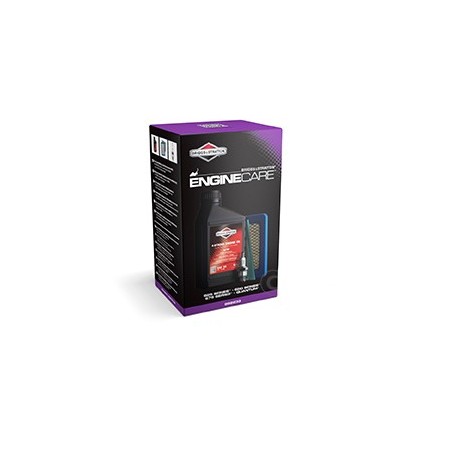 Kit d'entretien BRIGGS  et  STRATTON 600 - Quantum
