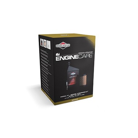 Kit d'entretien BRIGGS & STRATTON série 3