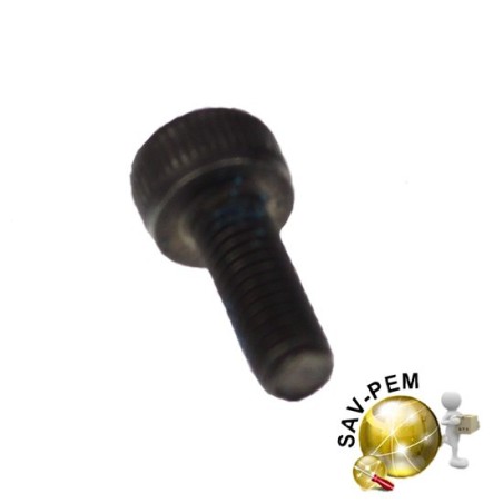 Vis fixation lame scies sauteuse BLACK & DECKER DW349, KS2005, KS701