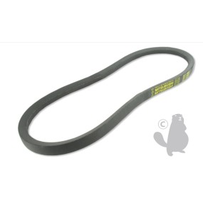 Courroie de traction GGP MJ66E Hydro