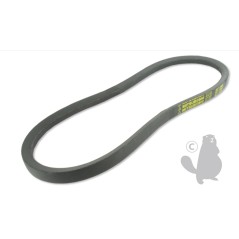 Courroie de traction GGP MJ66E Hydro