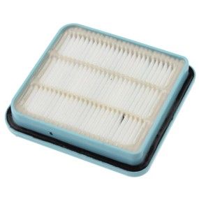 Filtre 422245948841 pour aspirateurs PHILIPS