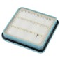 Filtre 422245948841 pour aspirateurs PHILIPS