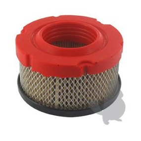 Filtre a air adaptable BRIGGS  et  STRATTON 797819
