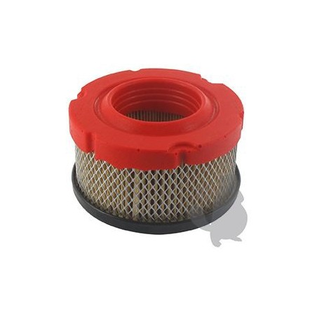 Filtre a air adaptable BRIGGS  et  STRATTON 797819