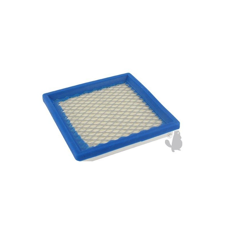 Filtre a air BRIGGS  et  STRATTON 100700
