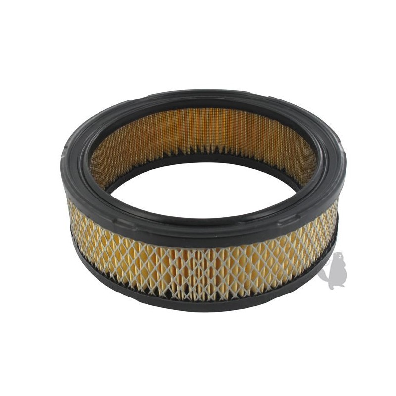 Filtre à air BRIGGS et STRATTON 294400 Filtre à air BRIGGS et STRATTON 294400