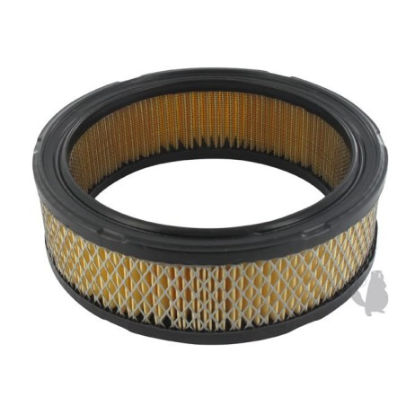 Filtre à air BRIGGS  et  STRATTON 294400