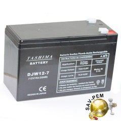 Batterie 12V 7Ah pour tracteur GGP