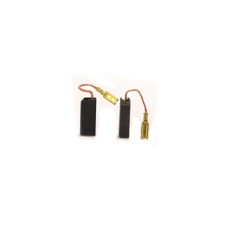 Charbons pour perforateurs BOSCH GBH2 - GBH2-20