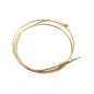 Thermocouple bas Z01W114 four cuisinières GLEM A66ACF2, AA65CMIXN, AA65CMIXN, AA8PCGWH Thermocouple bas Z01W114 four cuisinières GLEM A66ACF2, AA65CMIXN, AA65CMIXN, AA8PCGWH