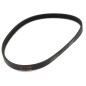 Courroie 5131037041 pour tondeuse RYOBI RLM12E33H, RLM13E33H