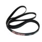 Courroie pour tondeuse RYOBI RLM19E40H