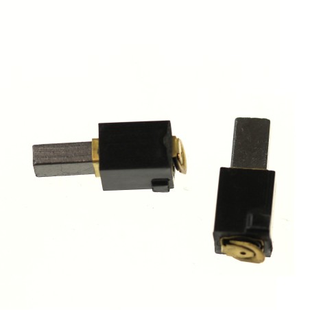 Charbons pour ponceuse RYOBI EBS8021V
