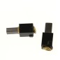 Charbons pour ponceuse RYOBI EBS8021V
