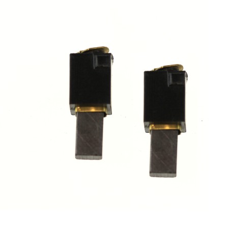 Charbons pour ponceuse RYOBI EBS8021V