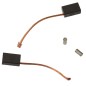 Charbons pour souffleur RYOBI RESV2010
