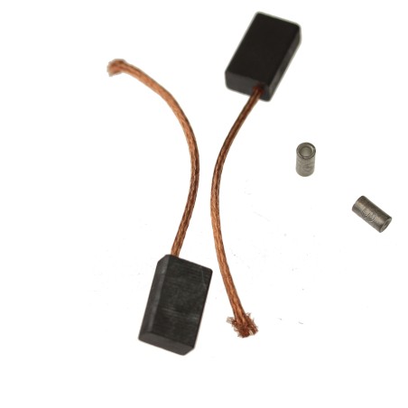 Charbons pour souffleur RYOBI RESV2010