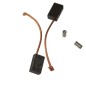Charbons pour souffleur RYOBI RESV2010
