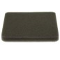 Filtre à air tondeuses RYOBI RLM4617SM / RLM46175SL Filtre à air tondeuses RYOBI RLM4617SM / RLM46175SL