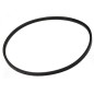 Courroie de traction tondeuse RYOBI RLM4614 - RLM46175YL Courroie de traction tondeuse RYOBI RLM4614 - RLM46175YL