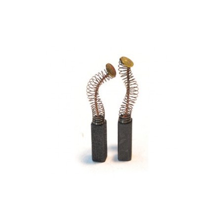 Charbons pour ponceuse LEGNA FU3 - FU4
