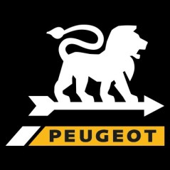 Courroie 164220 pour rabots PEUGEOT FIP150