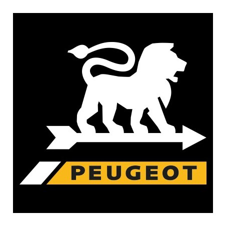 Courroie 164220 pour rabots PEUGEOT FIP150