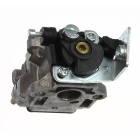 Carburateur débroussailleuse RYOBI RBC254FSB