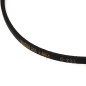 Courroie de traction tondeuse RYOBI RLM53175S - RLM53190S Courroie de traction tondeuse RYOBI RLM53175S - RLM53190S