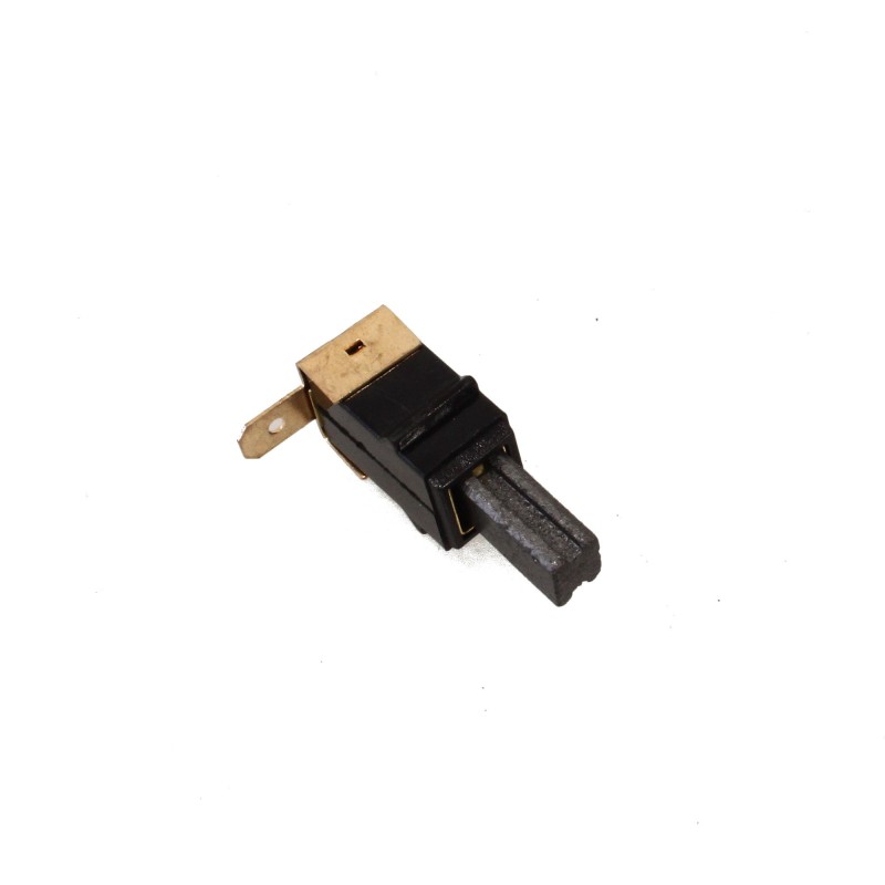 Charbons pour ponceuse RYOBI ERO2412VN