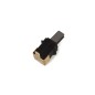Charbons pour ponceuse RYOBI ERO2412VN