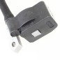 Bobine d'allumage débroussailleuse RYOBI RBC26SBB Bobine d'allumage débroussailleuse RYOBI RBC26SBB
