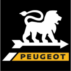 Courroie 309081 pour rabots PEUGEOT RA400 - RA682