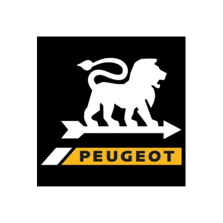 Courroie 309081 pour rabots PEUGEOT RA400 - RA682