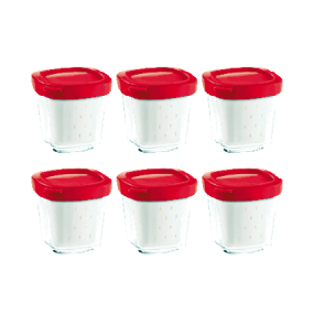 Lot de 6 pots pour yahourtieres SEB Delices / Multi Delices  / XF100501