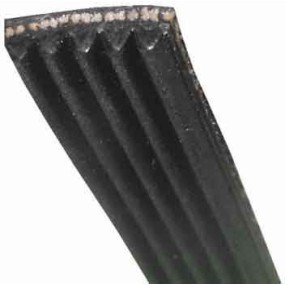 Courroie pour lave linge 1225J5 - POLY V - MAEL