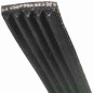 Courroie pour lave linge 1225J5 - POLY V - MAEL