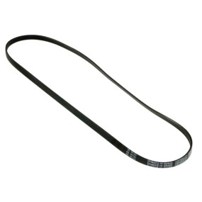 Courroie pour lave linge 1225J5 - POLY V - MAEL