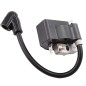Bobine d'allumage débroussailleuse RYOBI PLT3043YW Bobine d'allumage débroussailleuse RYOBI PLT3043YW