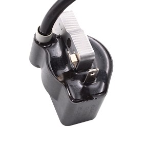 Bobine d'allumage débroussailleuse RYOBI PLT3043YW