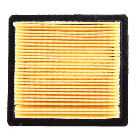 Filtre à air 5131035280 pour taille-haies RYOBI RBL42BP