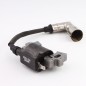 Bobine d'allumage pour tondeuse RYOBI modèle RLM4114 Bobine d'allumage pour tondeuse RYOBI modèle RLM4114